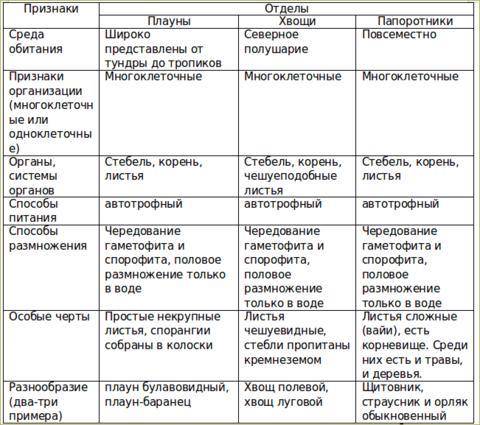 Напишите сравнение споровых растений ( папоротник и плауны) сходство и различие