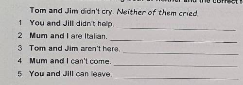 Rewrite the sentences using both or neither and the correct form of the bold pronouns. (5 marks) Tom