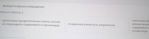 Выберите верные утверждения: Верных ответов: 2 Цитоплазма эукариотических клеток состоит из полужидк