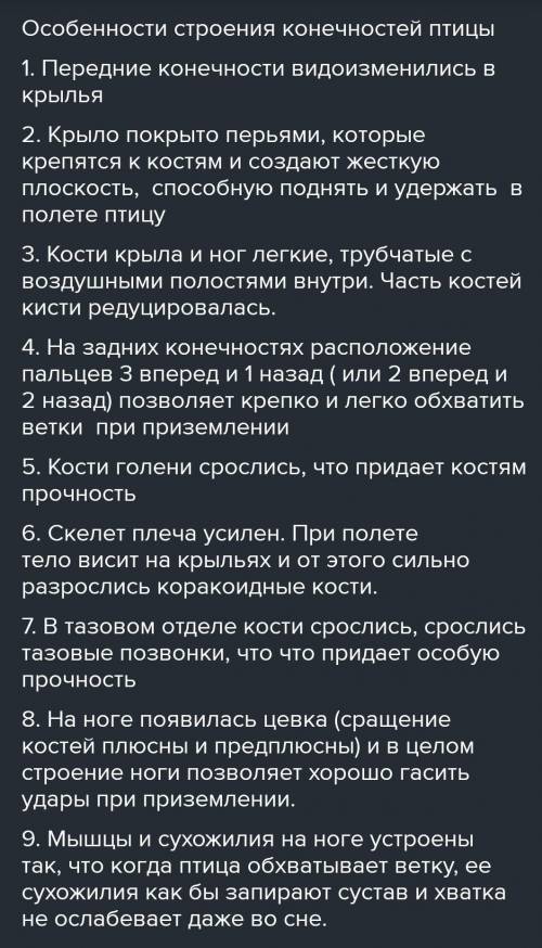 Назовите особенности птиц, относящихся к рассмотренным надотрядам