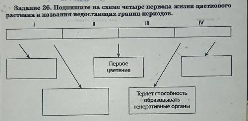 Задание 26. Подпишите на схеме четыре периода жизни цветкового растения и названия недостающих грани