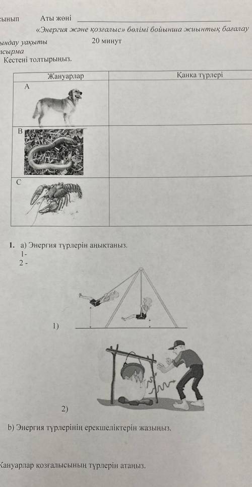 Энергия жане козгалыс болими бойынша жиынтык багалау жаратылыстпну