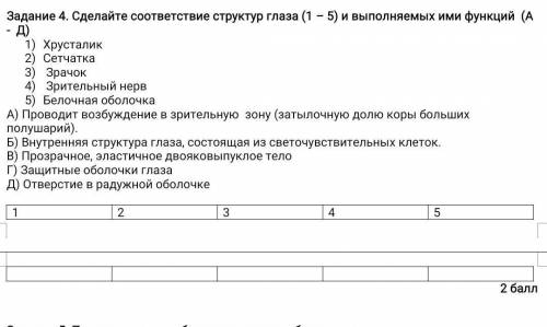 Сделайте соответствие структур глаза (1 – 5) и выполняемых ими функций (А - Д) Хрусталик Сетчатка Зр