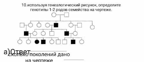 Используя генеалогический рисунок, определите генотипы 1-2 родов семейства на чертеже.