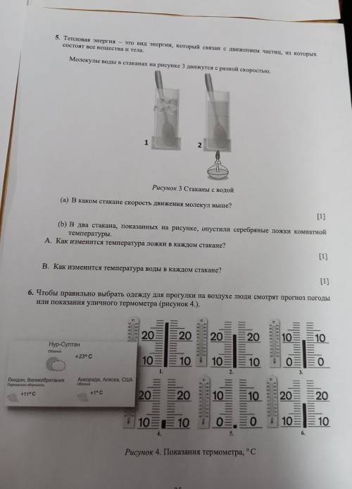 СОЧ по естес за 3 четверть 5 класс