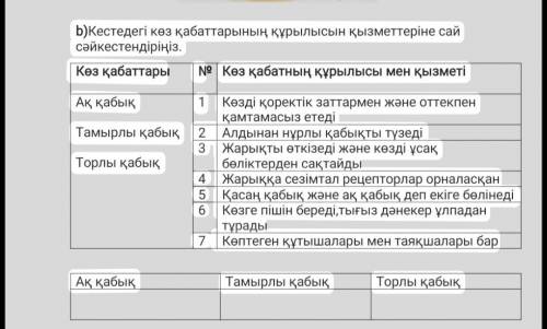 Б) Соотнесите строение век в таблице по их функции. Любые слои№Белая оболочка1Корневая оболочка23Обо