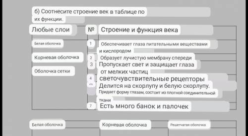 Б) Соотнесите строение век в таблице по их функции. Любые слои№Белая оболочка1Корневая оболочка23Обо