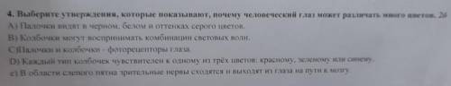 Выбери утверждение которые показывают почему человеческий глаз может различать много цветов