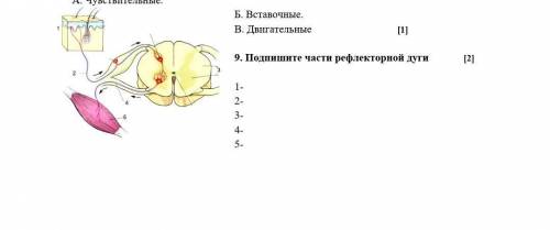 те ответы б и в это с другого задания, с ними ничего не надо делать