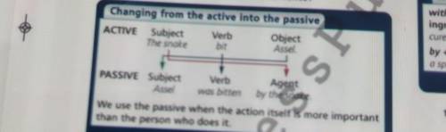 Read the sentences below. how doesa passive sentence differ from an active sentence?