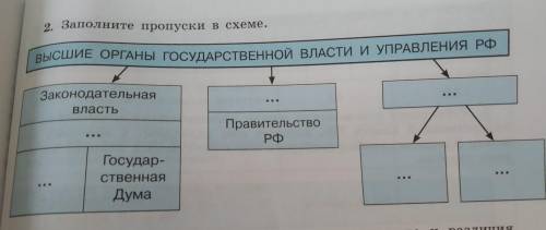 2. Заполните пропуски в сетие.