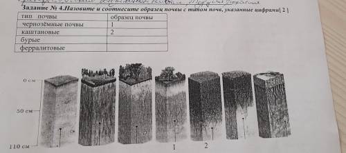 Задание 4. Назовите и соотнесите образец почвы с типом почв, указанные цифрами [ 2] тип почвы образе