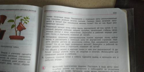 Лабораторная работа по биологии. СРOЧНО!!