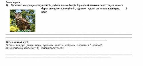 5-тапсырма Суреттегі қыздың сыртқы кейпін, киімін, әшекейлерін бір-екі сөйлеммен сипаттаңыз немесе б