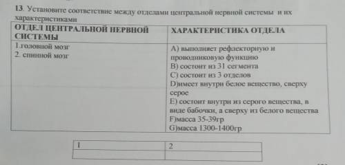 Установите соответствие между отделам и центральной нервной системы и их характеристиками