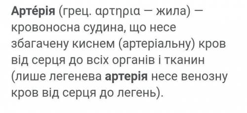 Определите взаимосвязь между строением артерий и их функциями хэлп