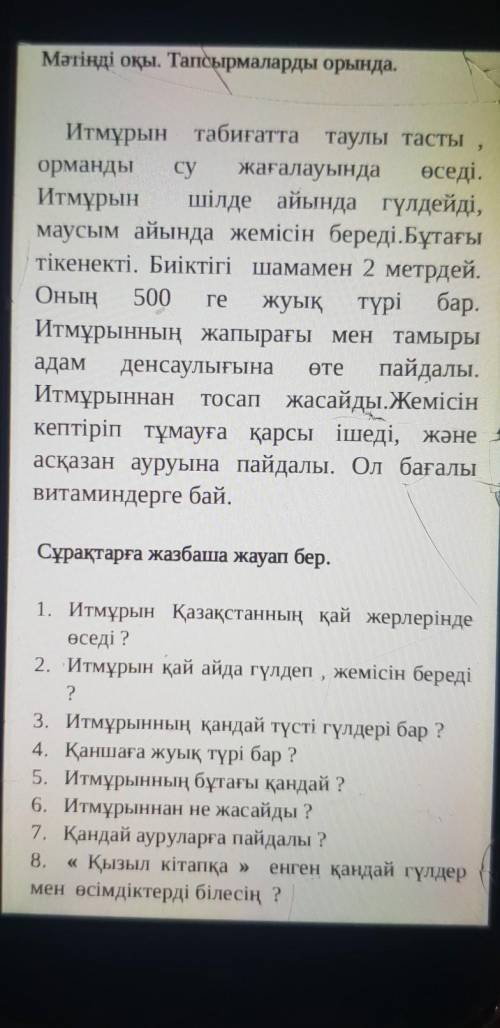 Мәтінді оқы. Тапсырмаларды орында. 2 ге Итмұрын табиғатта таулы тасты орманды су жағалауында өседі. 