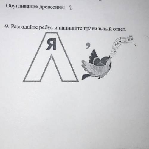 Разгадайте ребус и напишите правильный ответ.