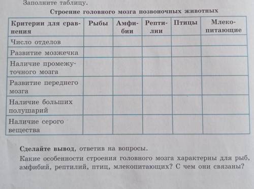 Строение головного мозга позвоночных животных