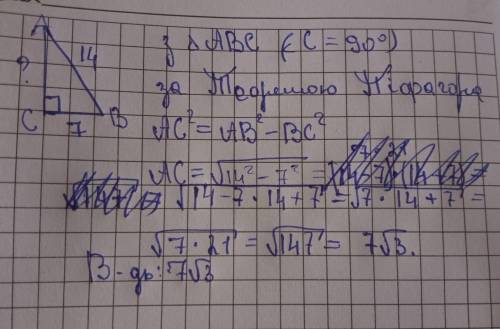 у прямокутному трикутнику авс (кут с=90°) проведено бісектрису вм відомо що см = 7 см і вм 14 см. зн