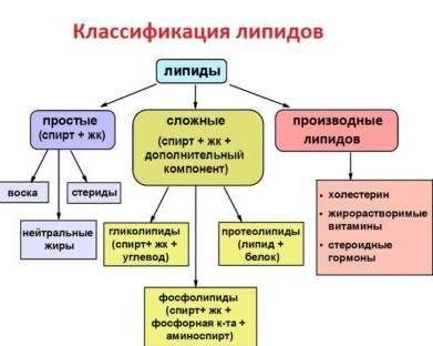 Какие бывают классы липидов? Приведите примеры для каждого класса.