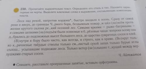 230.Прочитайте выразительно текс.Определетите его стиль и тип.Назовите характерные их черты. Выделит