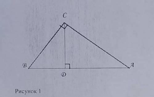 до завтра я 1 смена По заранее заготовленному чертежу прямоугольного треугольника (рисунок 1) 1. Док