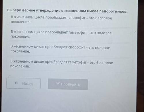 Выбери верное утверждение о жизненном цикле папоротников. Если у вас есть ответы на все задания то с