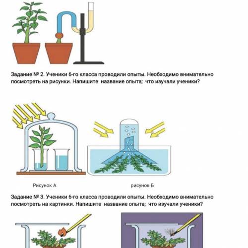 Задание № 1. Ученики 6-го класса проводили опыты. Необходимо внимательно посмотреть на картинки. Нап