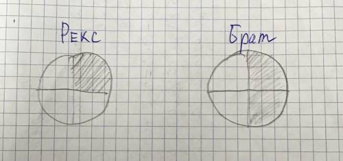 Щенок рекс съедает 1/4 кг корма в день. Его старший брат - 1/2 кг в день. Во сколько раз больше съед