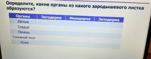 Определите, какие органы из какого зародышевого листка образуются?