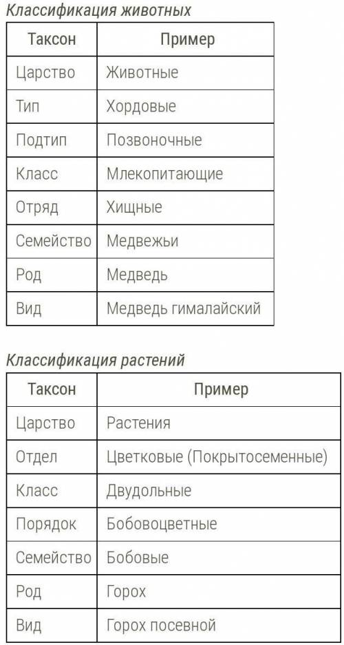 Клоссификация живых организмов. царство-отдел-класс-порядок-семейство-род-вид-про 4 любых животных.