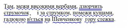 Зразок письмового розбору за зразком Там межи високими вербами дзюрчить струмочок і за струмком поме