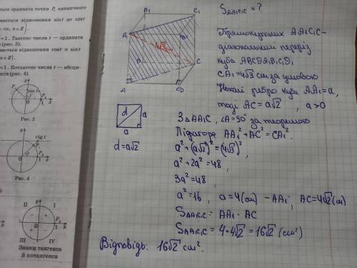 Діагональ куба дорівнює 4√3 см. Знайдіть площу його діагонального перерізу.