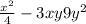 \frac{x^2}{4}-3xy+9y^2