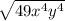 \sqrt{49x^{4}y^{4}}