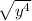  \sqrt{y {}^{4} } 