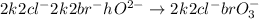 2k^{+}+2cl^{-}+2k^{+}+2br^{-}+h^{+}+O^{2-} \rightarrow 2k^{+}+2cl^{-}+brO_{3}^{-}