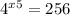 4^{x+5} =256