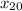 x_{20}