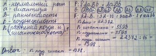 Нормальный рост у овса доминирует над гигантизмом,раннеспелость доминирует над раннеспелостью.гены о