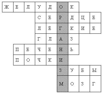 .(Кроссворднапарольорганизма, с вопросамио том, очеловеческом телеjlito, мозг, костии т. д.).