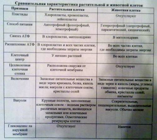 Какие различия есть в строении клеток растений и животных?