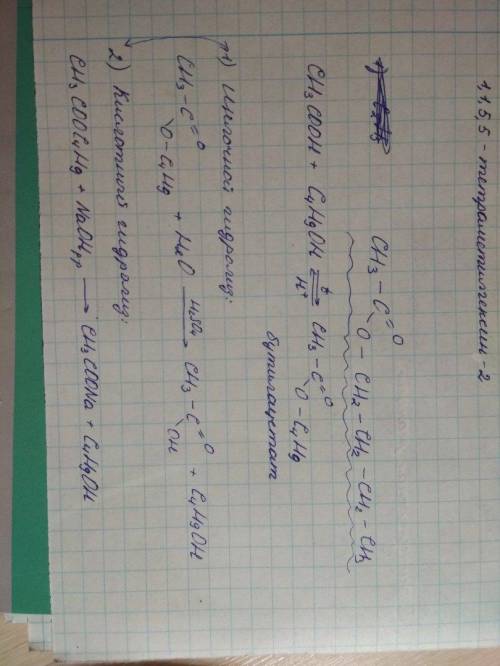 Напишите схему реакции образования бутилацетата. схемы кислотного и щелочного гидролиза данного слож