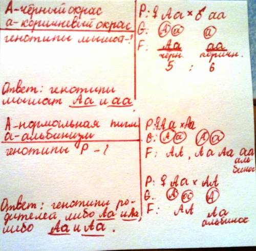 При скрещивании черной и коричневых мышей получили 5 черных и 6 коричневых мышат каковы генотипы у р