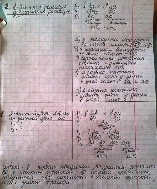 1. ген жёлтого цвета у гороха доминирует над геном зелёного цвета. какое потомство f1 получится от с