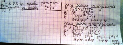 Определить возможные группы крови детей , если у матери ii ,а у отца iv группа крови.