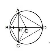 Отрезок bd-диаметр окружности с центром в точке о.хорда ас делит пополам радиус ов и перпендикулярно