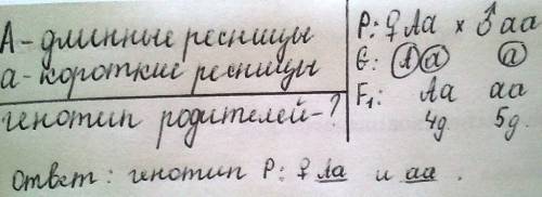 Вроддоме в один вечер появились на свет 4 ребенка с группами крови o,a,b,ab.группа крови их родителе