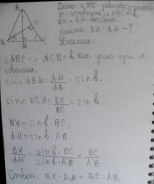 Вравнобедренном треугольнике авс угол при основании вс равен в. найдите отношение высот вн и ам